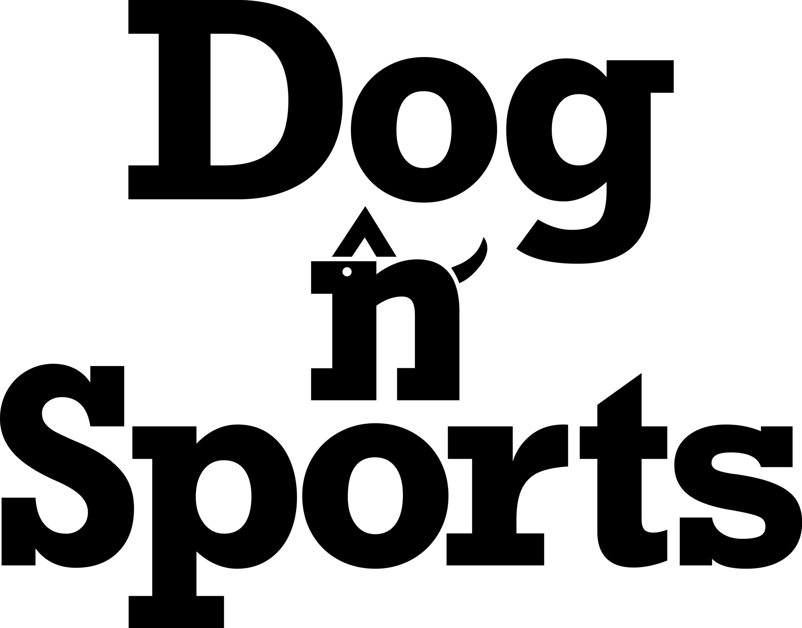 Dog 'n' Sports【ドッグンスポーツ】